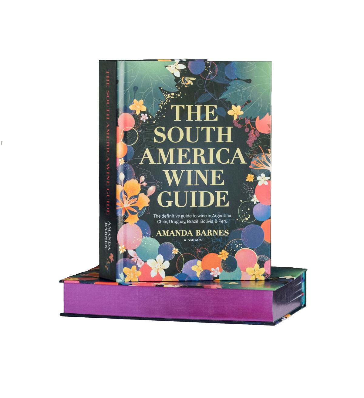 The South America Wine Guide, hardback