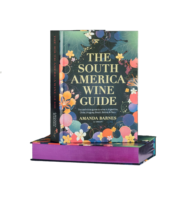 The South America Wine Guide, hardback